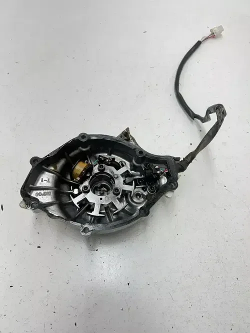 01 2001 Yamaha TTR125 Ttr 125 OEM NICE GOOD Stator Magneto Ignition Cover Case