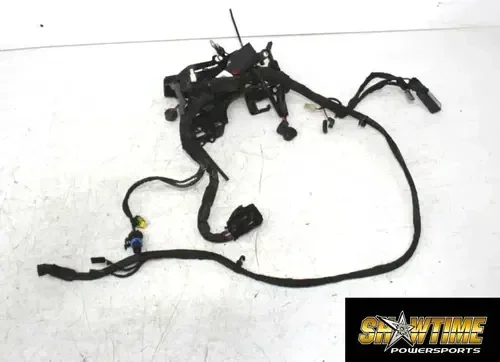 20-24 HARLEY-DAVIDSON SOFTAIL FXST ENGINE MOTOR MAIN WIRE WIRING HARNESS