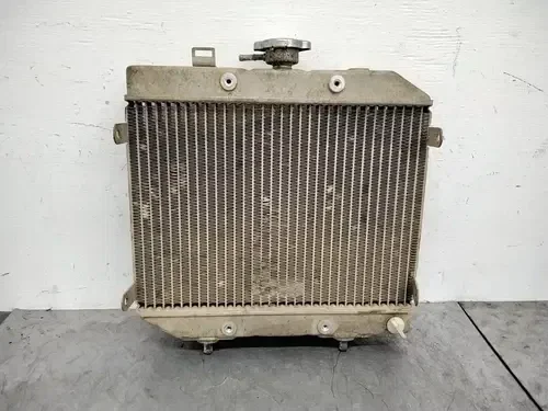 2001 HONDA FOREMAN RUBICON 500 TRX500FA 4X4 OEM ENGINE RADIATOR MOTOR COOLER