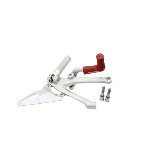 2018 – 2022 DUCATI PANIGALE V4 V4S LEFT REARSET STRAIGHT BOLTS HARDWARE SILVER