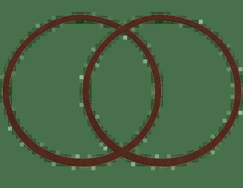 Air Cleaner Gasket (2) RPC R2376
