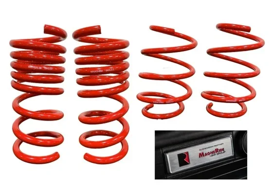 MagneRide Suspension Kit for Mustang 2018-23 | #RO-422289 | Roush