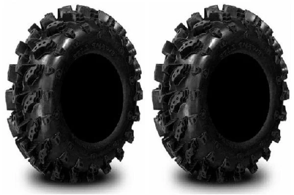 Pair of Interco Swamp Lite 29.5×10-12 (6ply) ATV Tires (2)