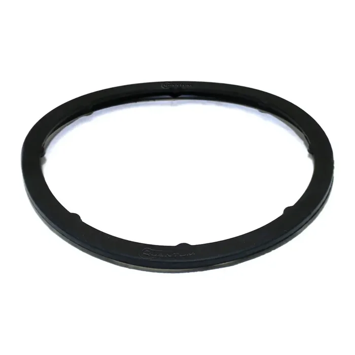 QFS Fuel Pump Tank Seal / Gasket, HFP-TS29