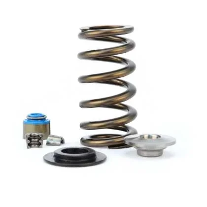 Valve Spring Kit .550 ” Max Lift For Mustang 5.0L GT 2011-17 | #26113CY-KIT | COMP CAMS