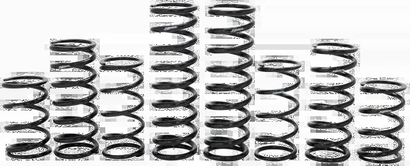 Zbroz 249-6023 K30-PL1032-0 Dual Rate Spring Kit